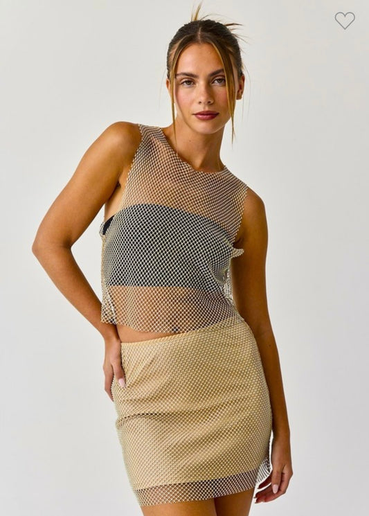 Sheer Rhinestone Top and Skirt Set
