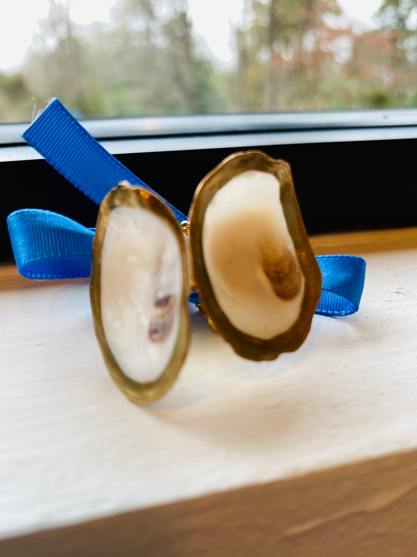 Oyster Cuff Links